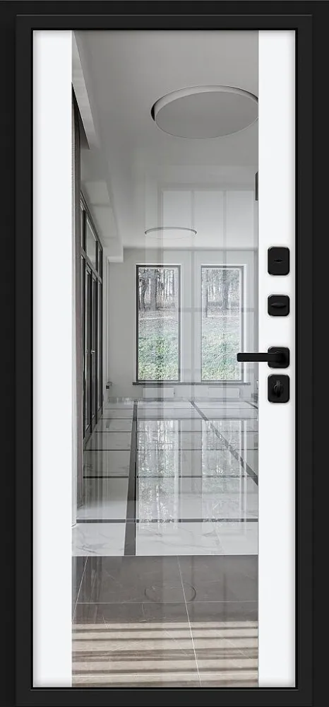 Товар Дверь Лайнер/SBlack Black Carbon/White Silk BR6162